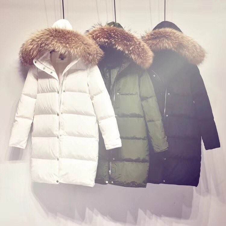 羽絨制品檢測